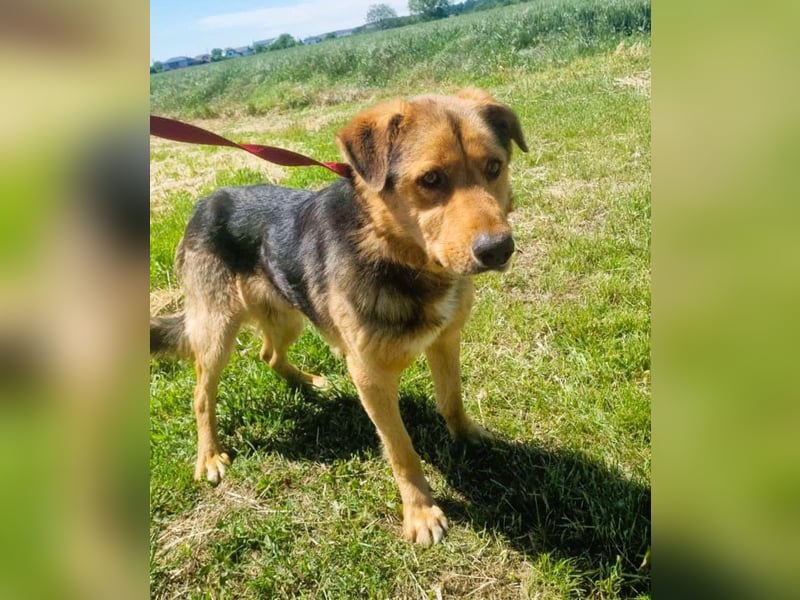 Sajan - ein Freund und noch viel mehr Sajan - ein Freund und noch viel mehr