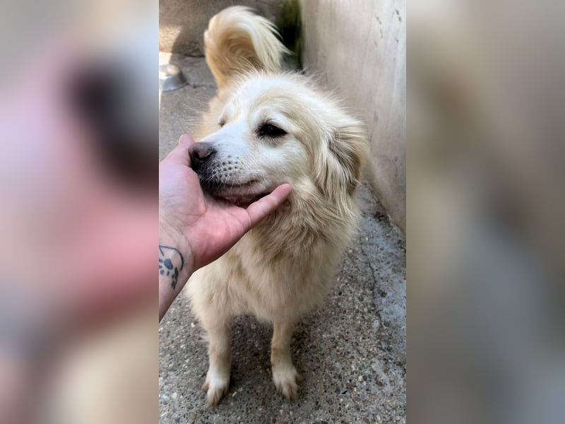 Rosalie - facettenreich und dazu noch bildhübsch