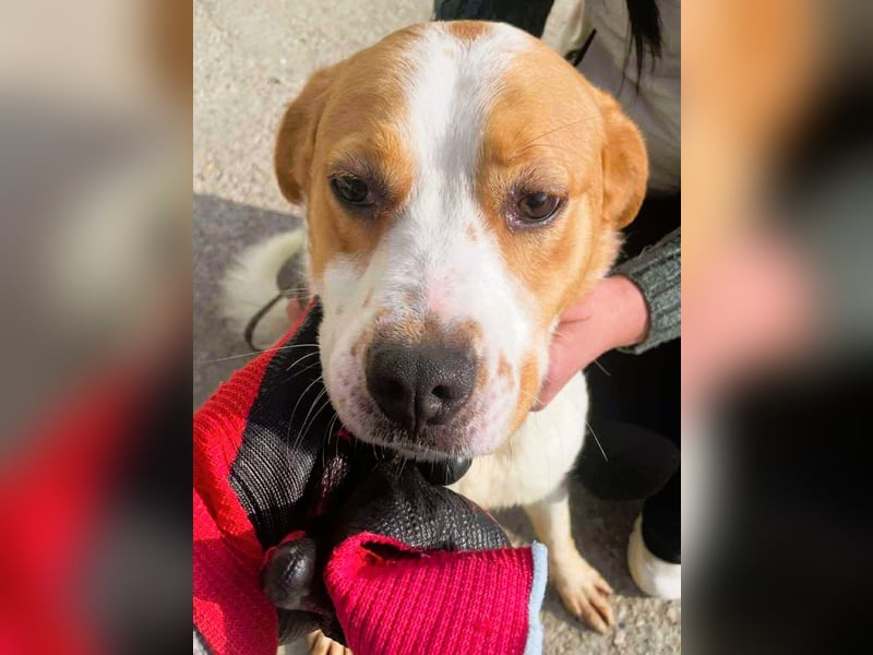 Gute Laune „Meggie“  ist startklar für ein neues Leben