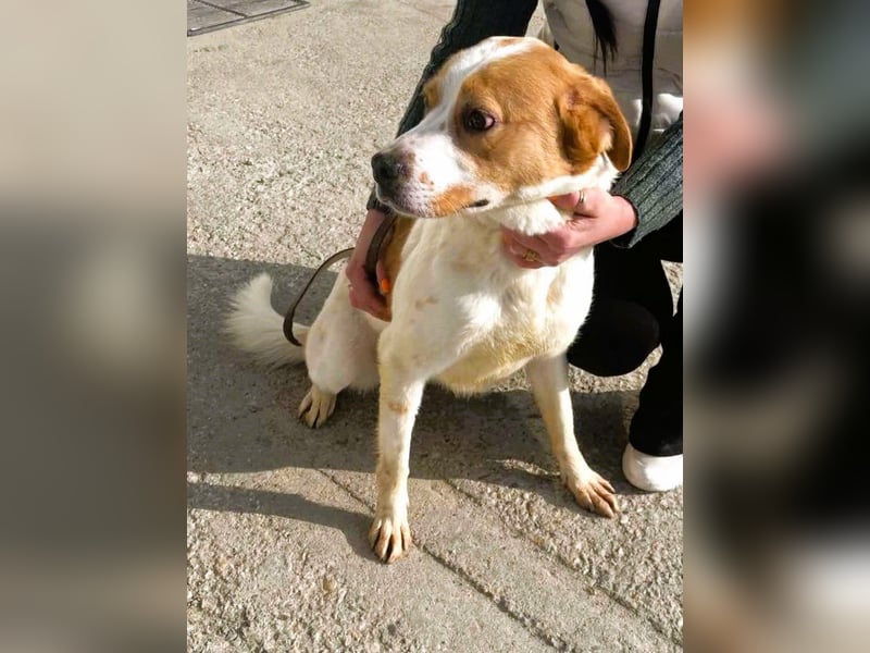 Gute Laune „Meggie“  ist startklar für ein neues Leben