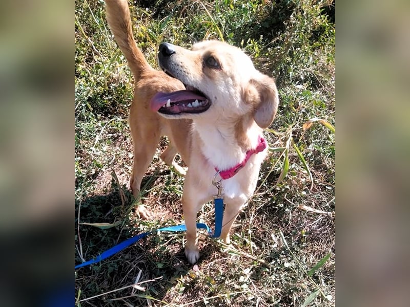 SEPPI – Fiffikus mit ganz viel Charme