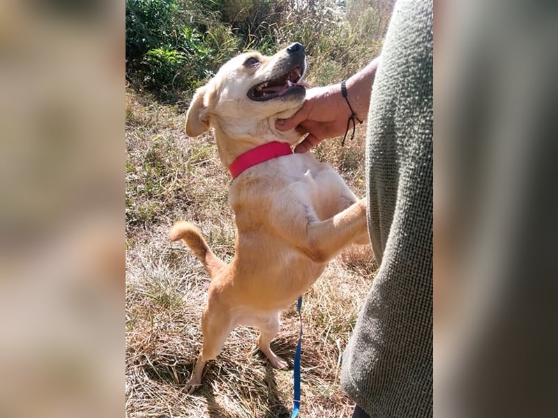 SEPPI – Fiffikus mit ganz viel Charme