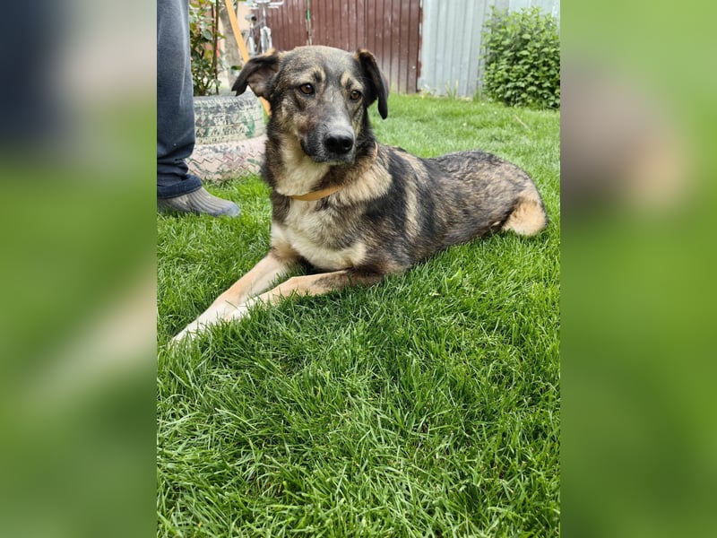 Bella LUNA - ist eine Herzensentscheidung