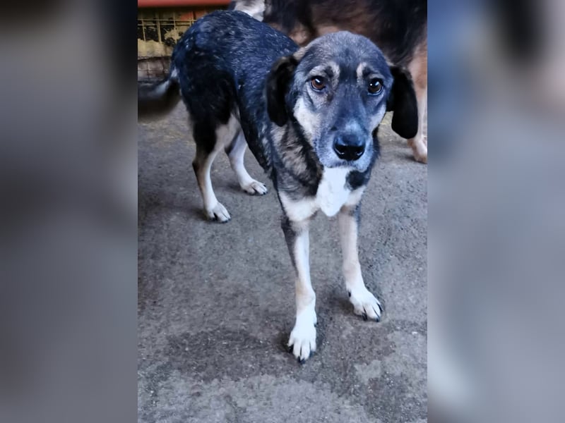 Bella LUNA - ist eine Herzensentscheidung