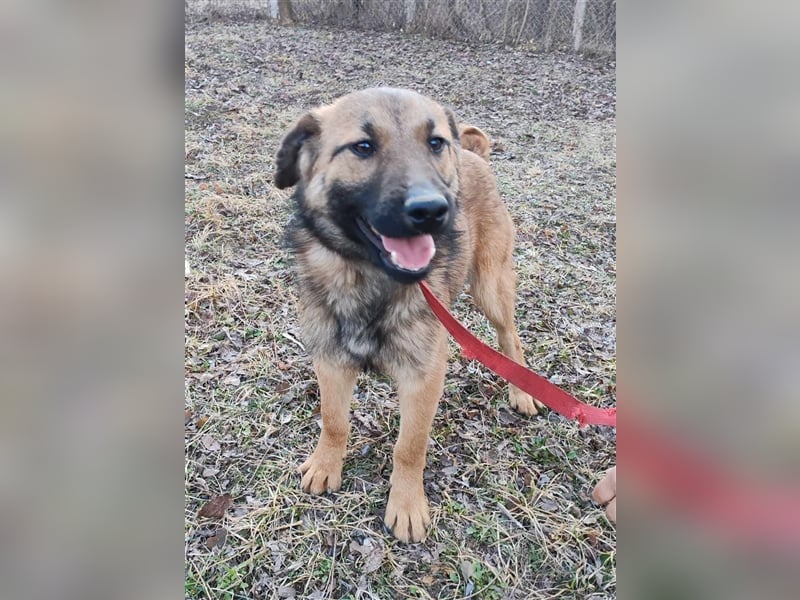 Hallo Welt – ich, der Marc, suche ein Zuhause