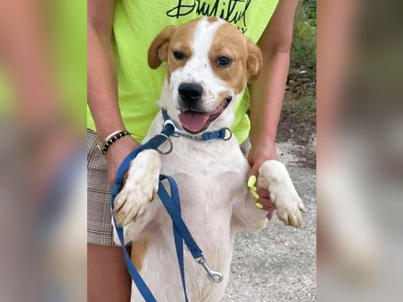 Gute Laune „Meggie“  ist startklar für ein neues Leben