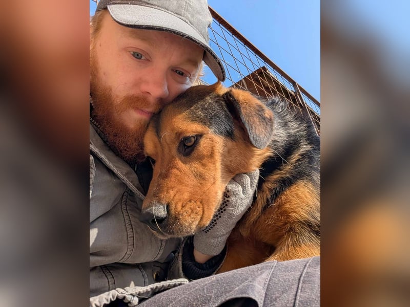 Traumjunge „ Roxie „ - ist bereit für ein neues Leben