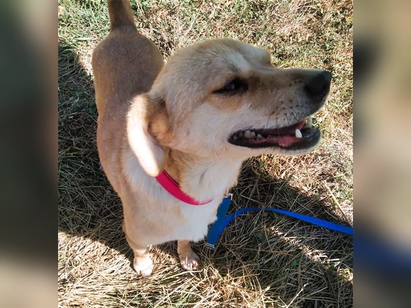 SEPPI – Fiffikus mit ganz viel Charme