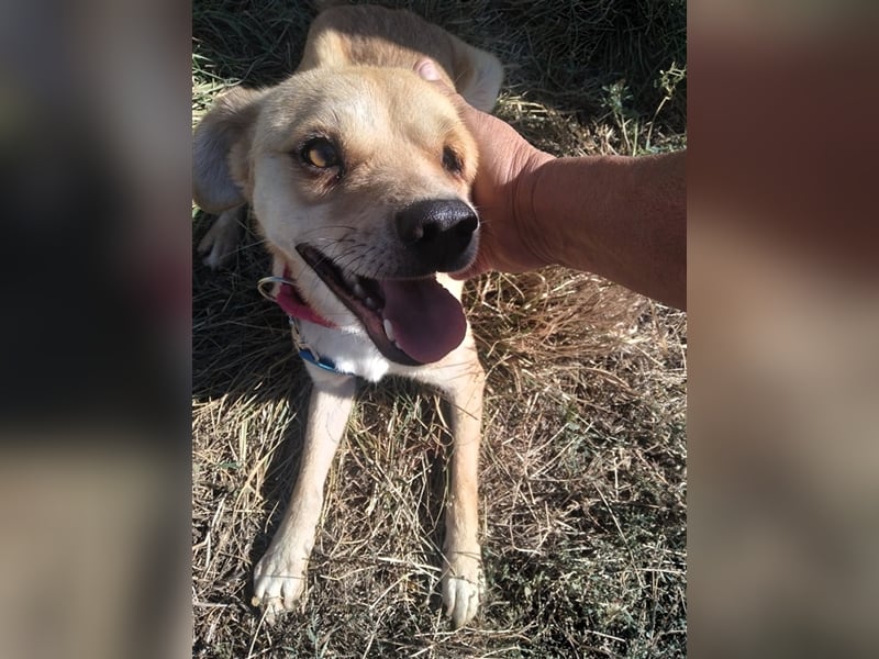 SEPPI – Fiffikus mit ganz viel Charme