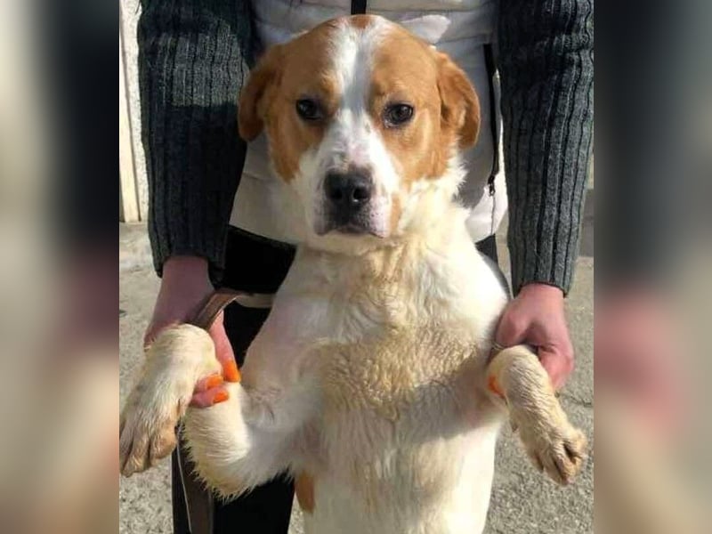 Gute Laune „Meggie“  ist startklar für ein neues Leben