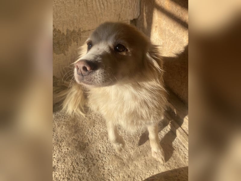 Rosalie - facettenreich und dazu noch bildhübsch