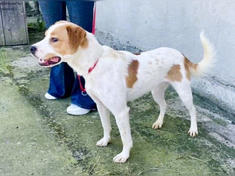 Gute Laune „Meggie“  ist startklar für ein neues Leben