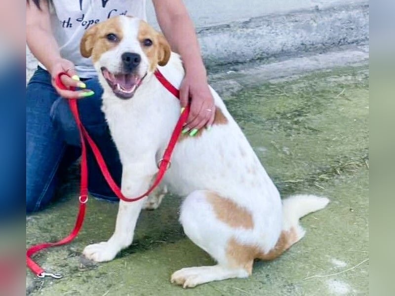 Gute Laune „Meggie“  ist startklar für ein neues Leben