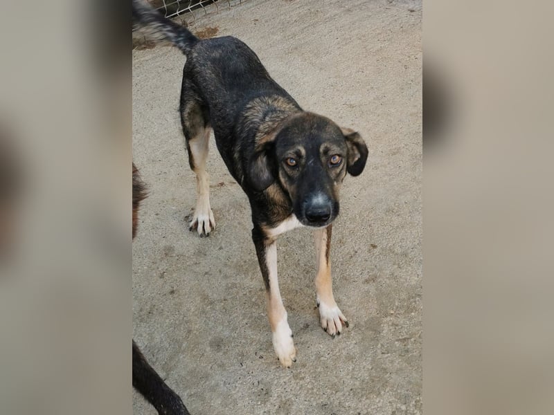 Bella LUNA - ist eine Herzensentscheidung