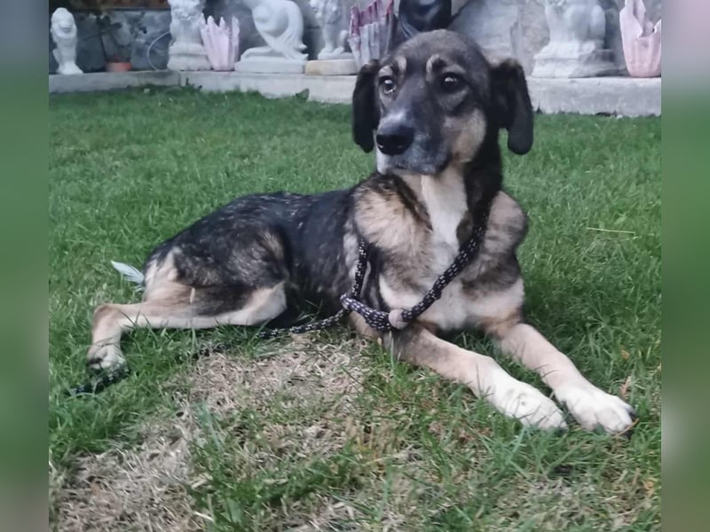 Bella LUNA - ist eine Herzensentscheidung