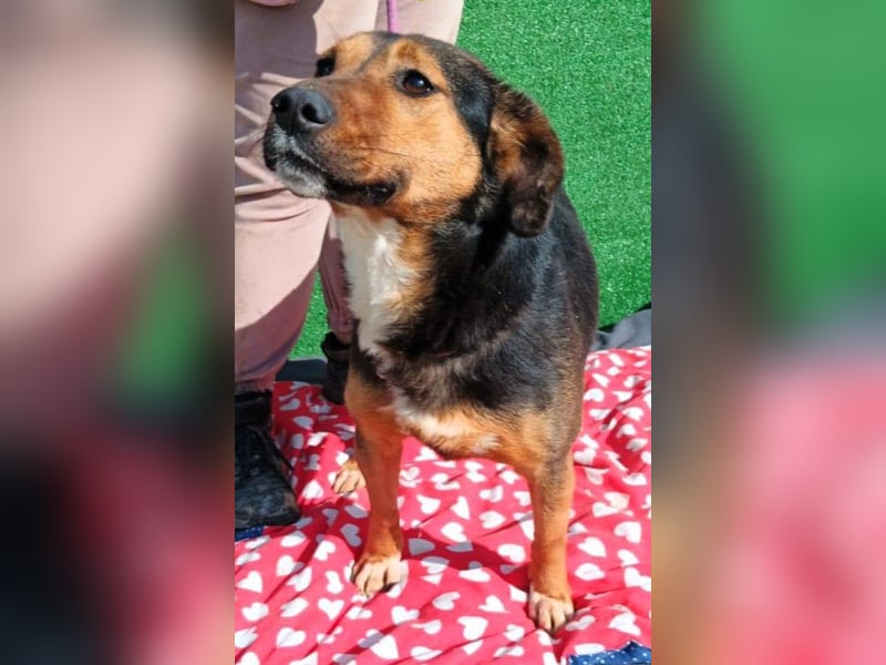 Hanni - das ganz besonders hübsche Mädchen