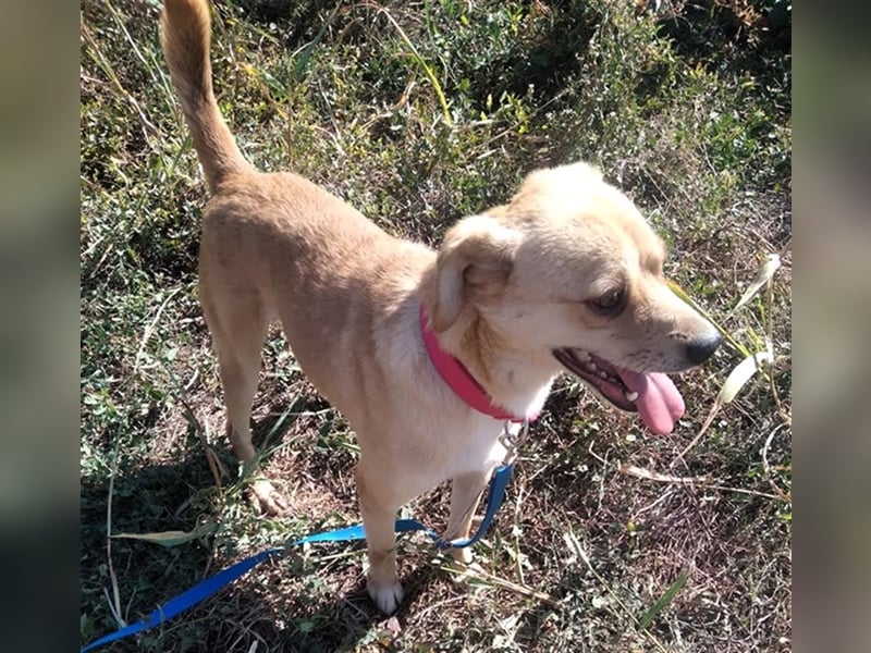 SEPPI – Fiffikus mit ganz viel Charme