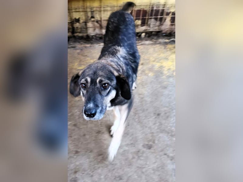 Bella LUNA - ist eine Herzensentscheidung