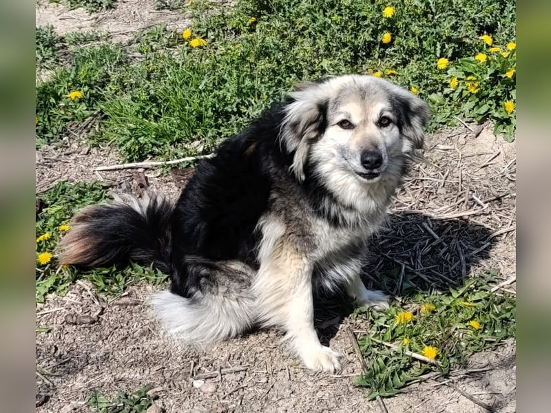 Rita - ein ganz besonderes Mädchen sucht ihr Plätzchen für immer