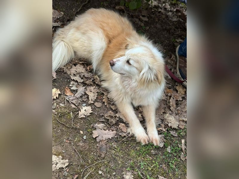 Rosa – hübsche Maus wartet in PLZ 75217 Birkenfeld auf Besuch