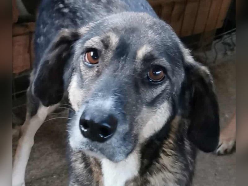 Bella LUNA - ist eine Herzensentscheidung