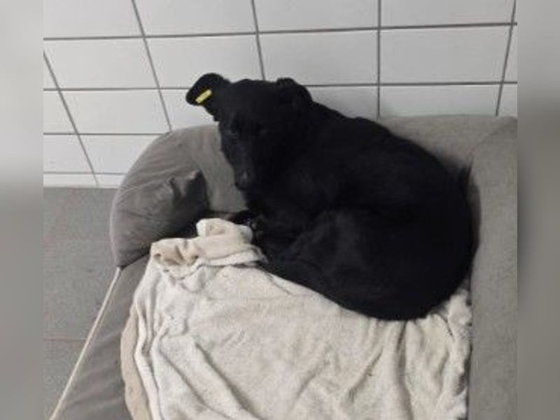 UWINE - vorsichtiges Herz sucht sicheren Hafen