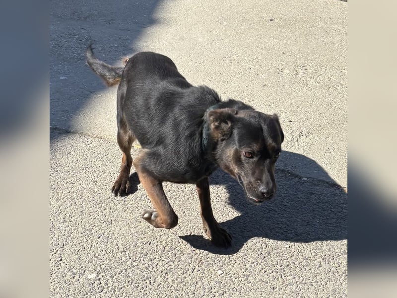 MOANA - HATTE KEINE SCHÖNE VERGANGENHEIT