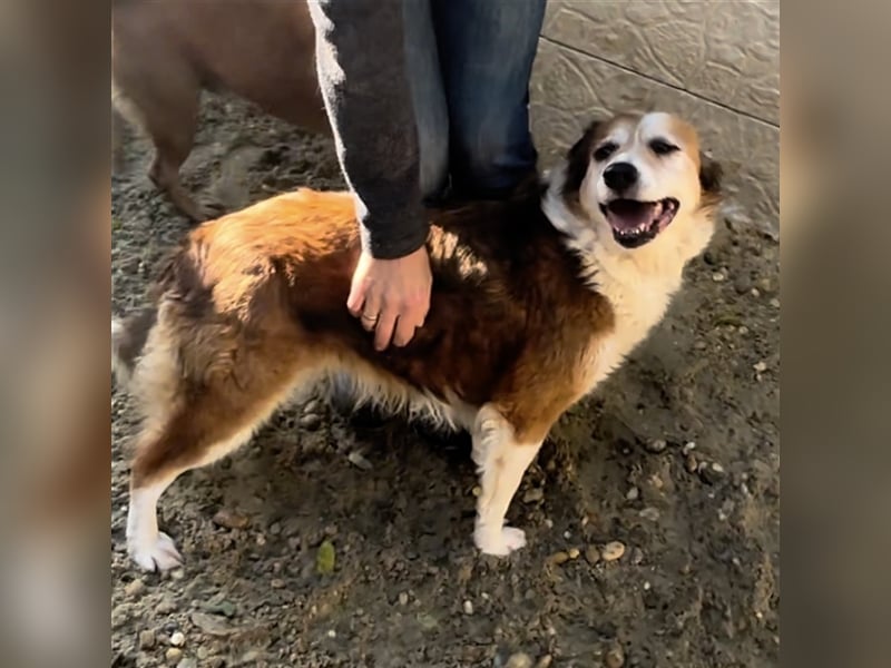 MAREN - HATTE EIN FRAUCHEN