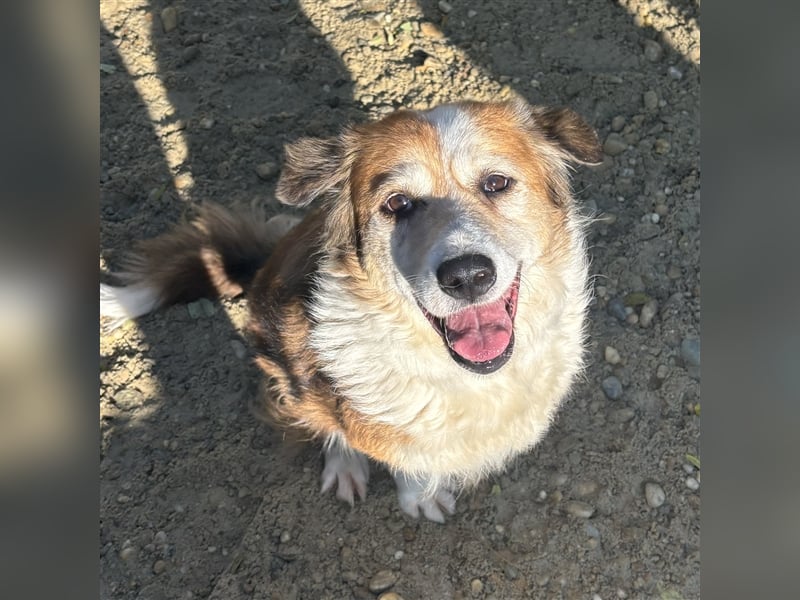 MAREN - HATTE EIN FRAUCHEN