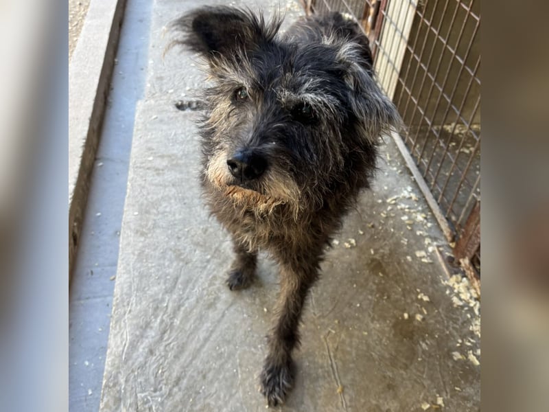 PICI - LEBTE IM WOHNWAGEN