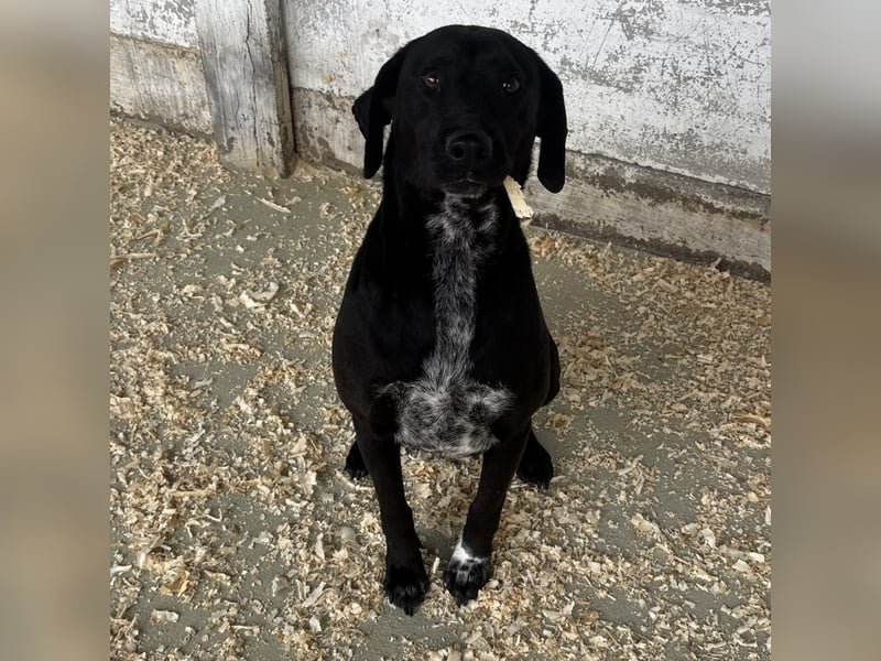 SOILA SUCHT RUHIGES ZUHAUSE