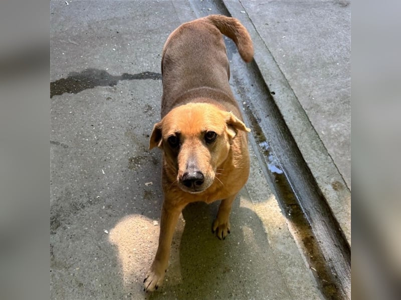 GARDA SUCHT IHR ZUHAUSE