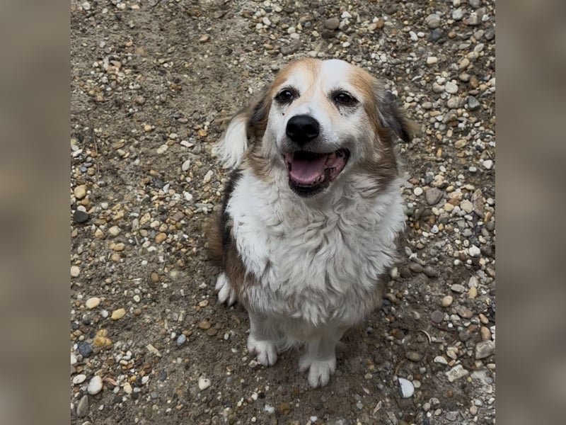 MAREN - HATTE EIN FRAUCHEN