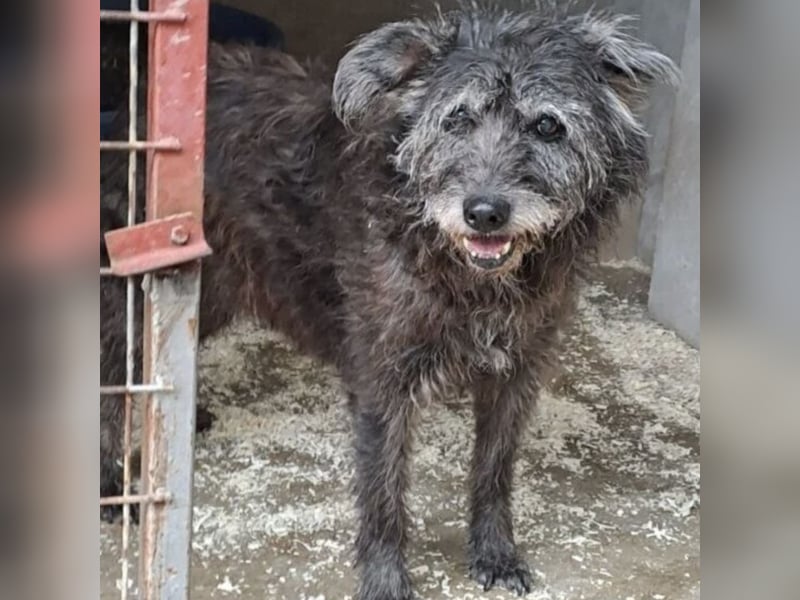 PICI - LEBTE IM WOHNWAGEN