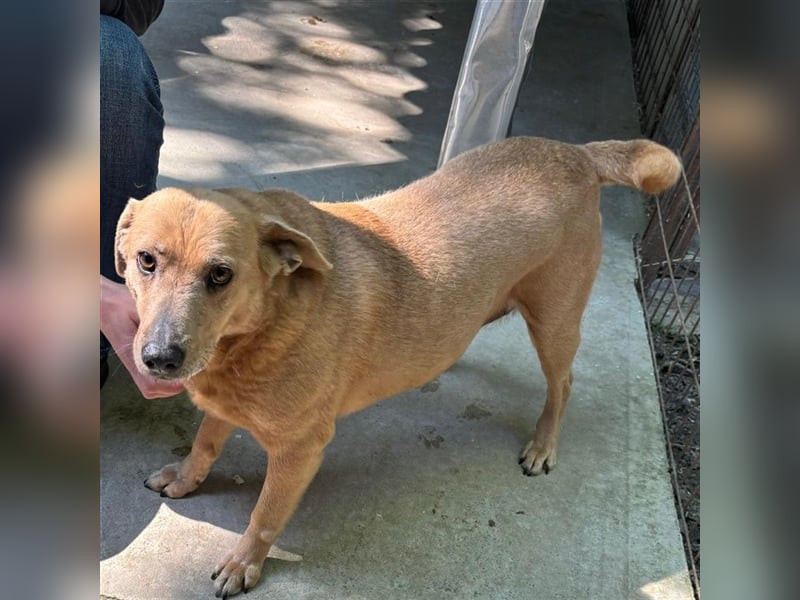 GARDA SUCHT IHR ZUHAUSE