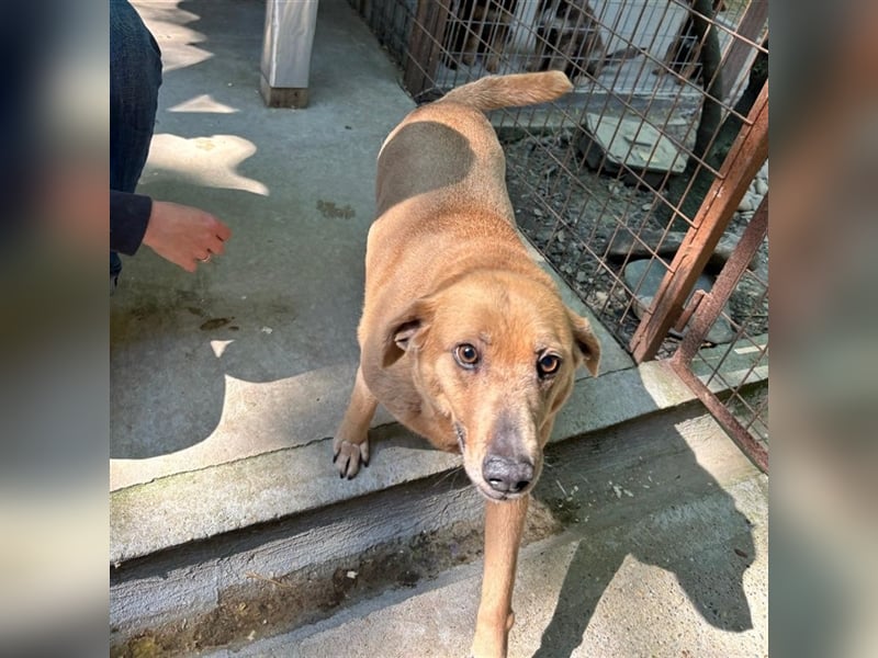 GARDA SUCHT IHR ZUHAUSE