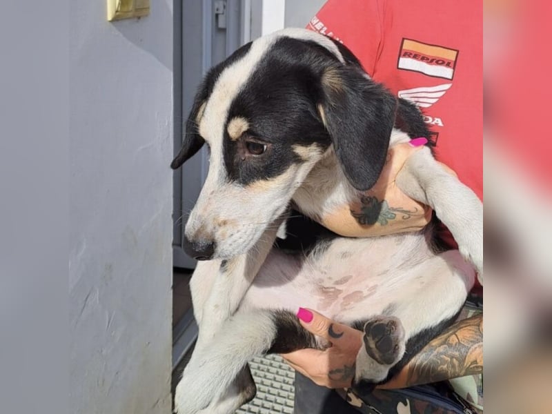 BRITA - MÖCHTE DIE WELT ERKUNDEN