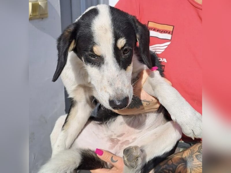 BRITA - MÖCHTE DIE WELT ERKUNDEN