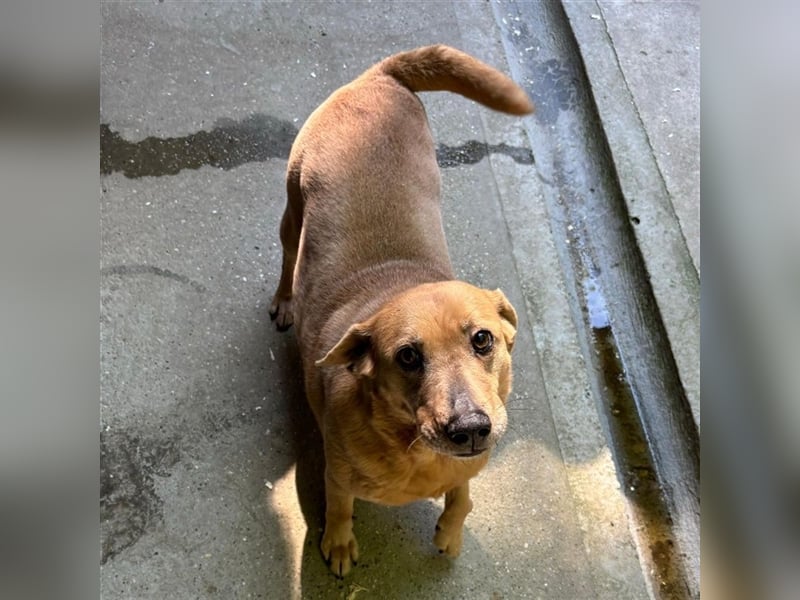 GARDA SUCHT IHR ZUHAUSE