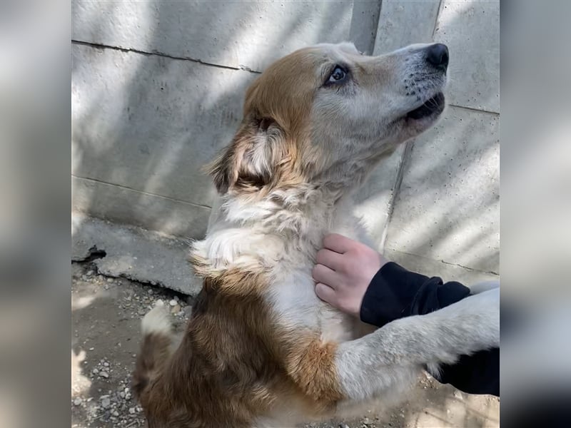 MAREN - HATTE EIN FRAUCHEN