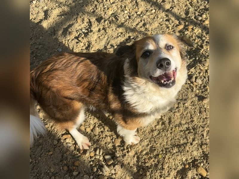 MAREN - HATTE EIN FRAUCHEN