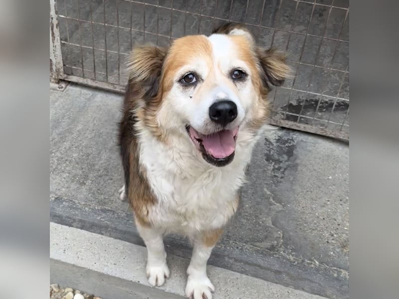 MAREN - HATTE EIN FRAUCHEN