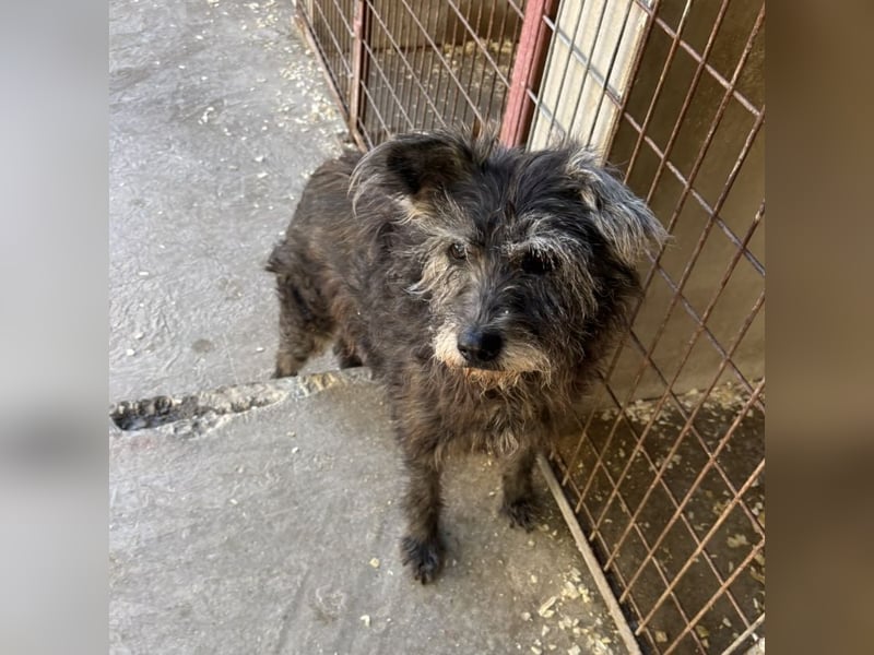 PICI - LEBTE IM WOHNWAGEN