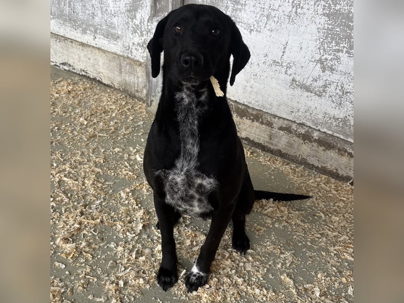 SOILA SUCHT RUHIGES ZUHAUSE