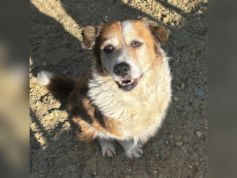 MAREN - HATTE EIN FRAUCHEN