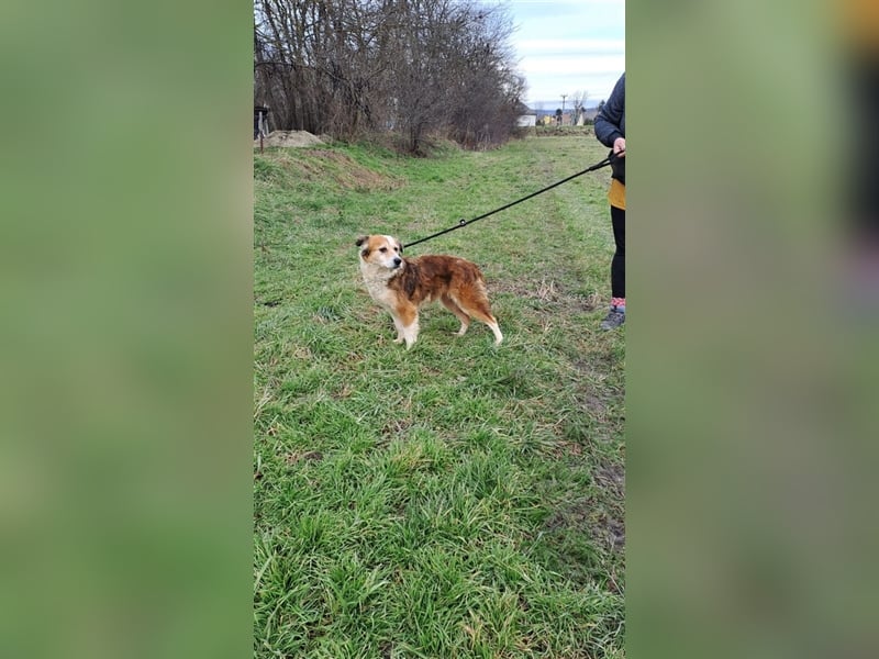 MAREN - HATTE EIN FRAUCHEN