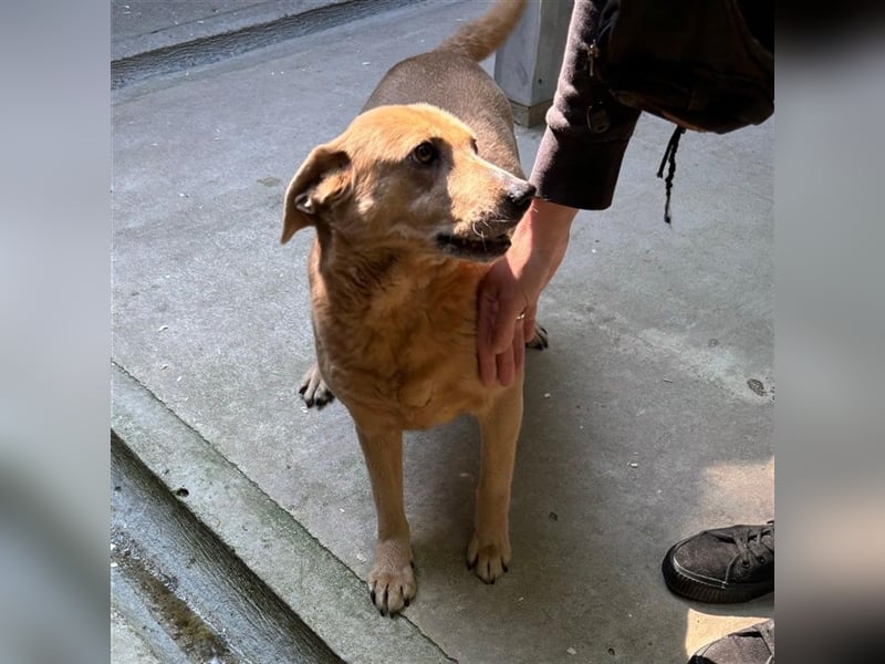 GARDA SUCHT IHR ZUHAUSE