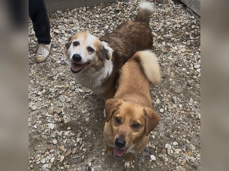 MAREN - HATTE EIN FRAUCHEN