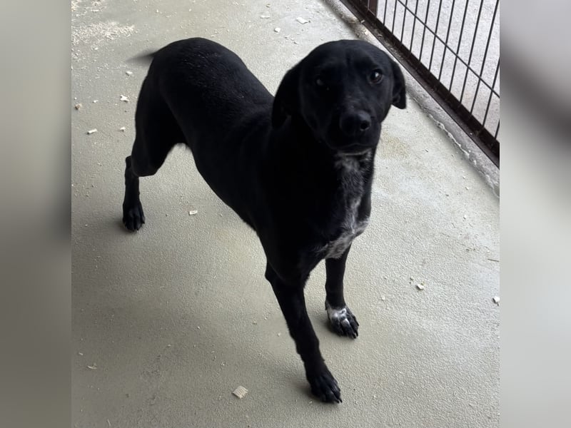 SOILA SUCHT RUHIGES ZUHAUSE