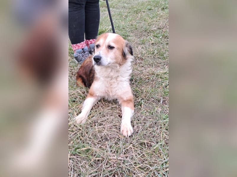 MAREN - HATTE EIN FRAUCHEN